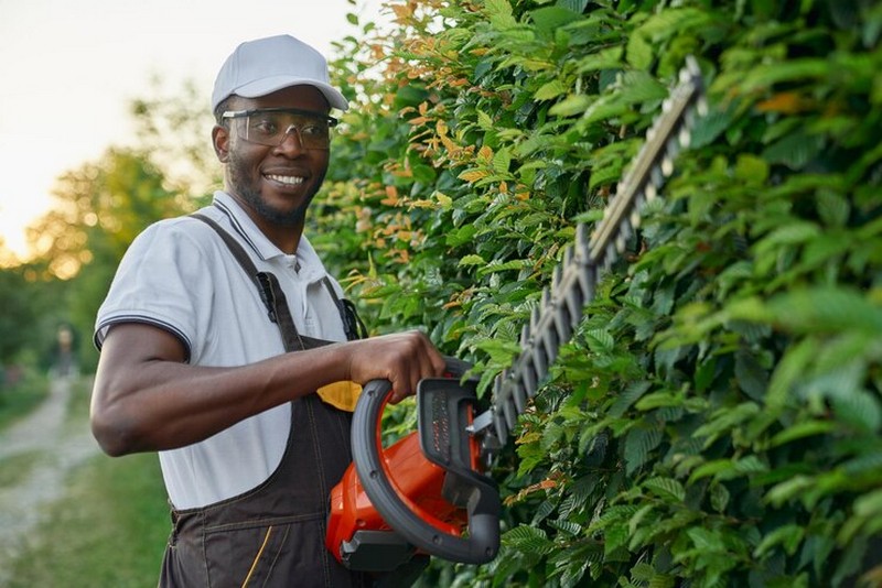 Imagem ilustrativa de Jardinagem empresa